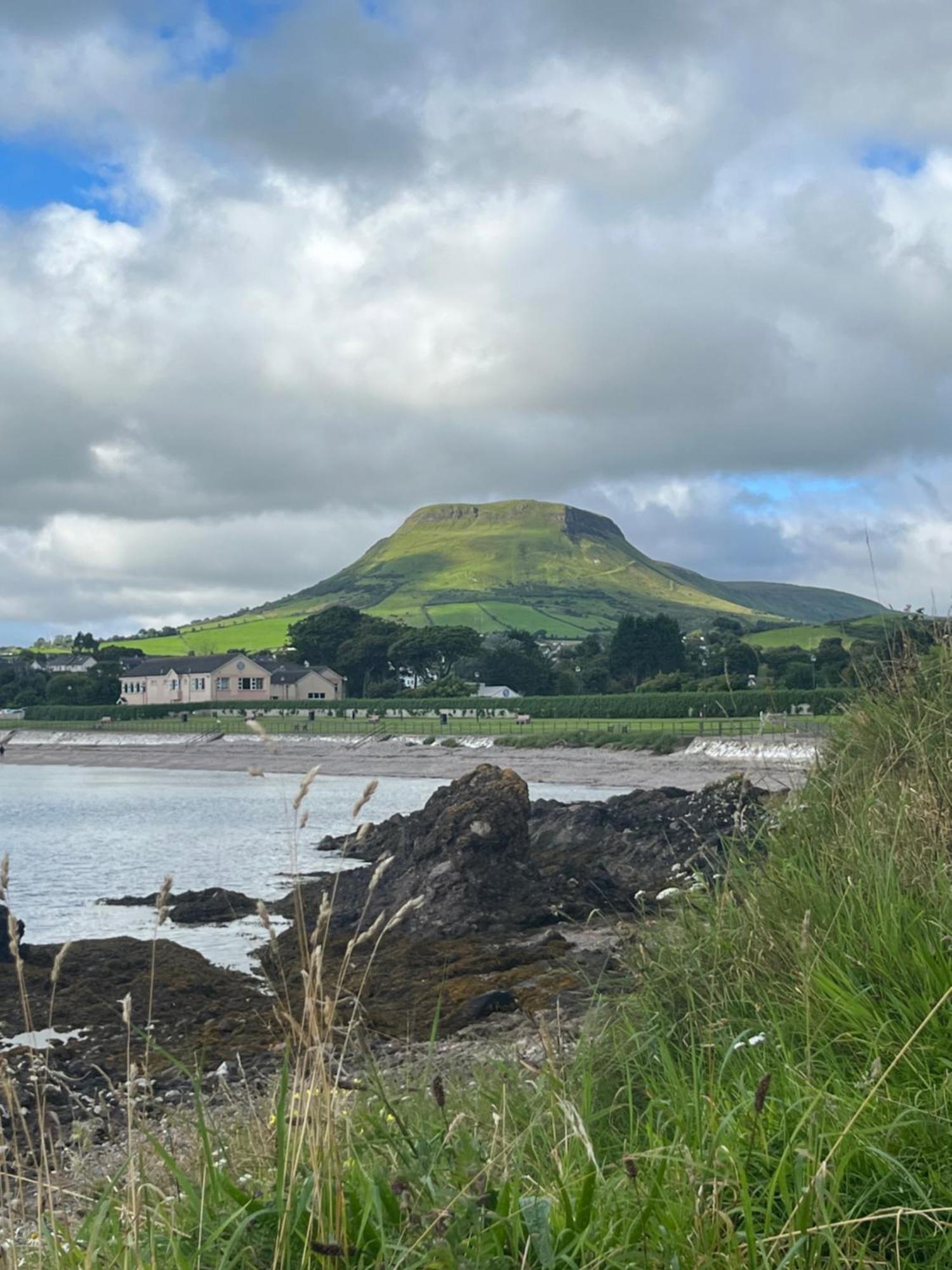 Tavnaghoney Cottages クーシェンドール エクステリア 写真